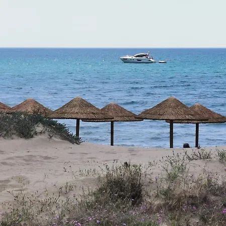 Las Olas Carpe Diem Apartment *
